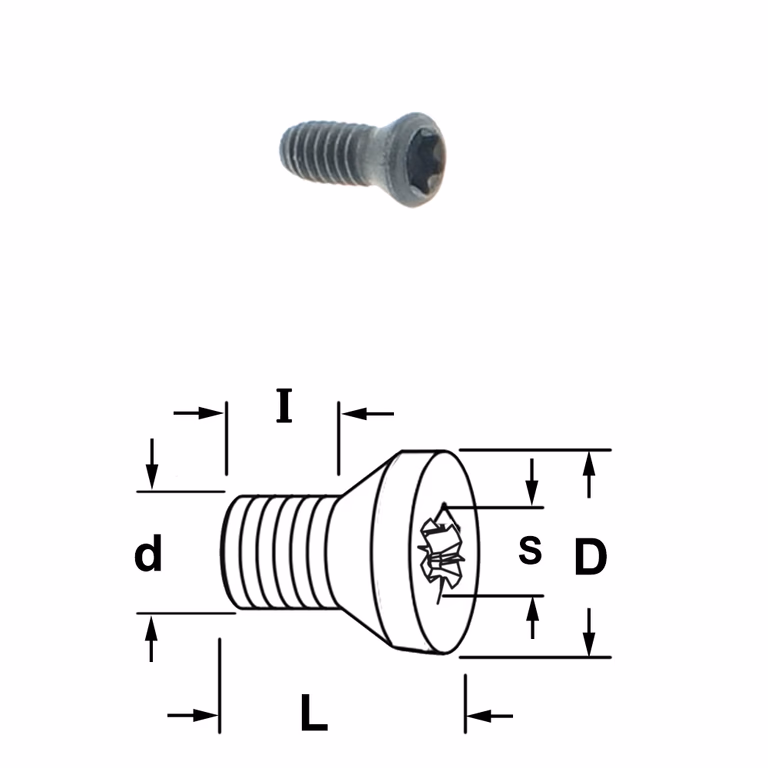 Coniche torx bout 990.071.00