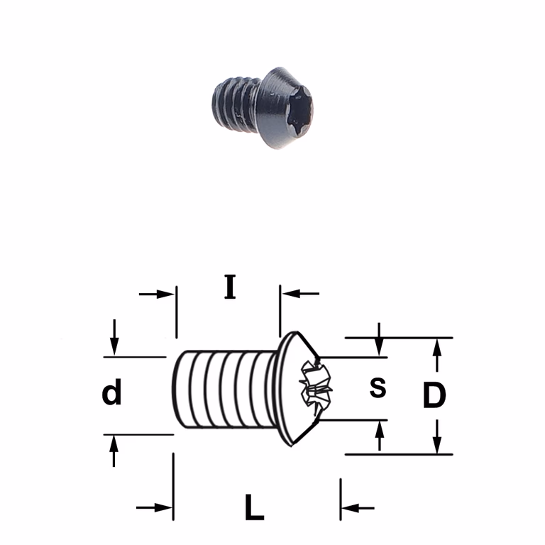 Vis Torx
