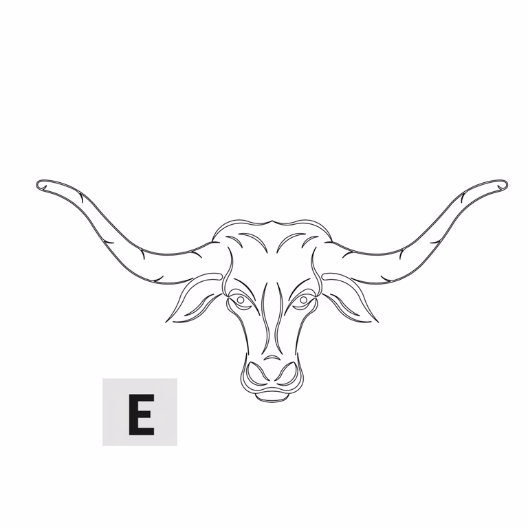 Kastdeur Stier - E L=419mm