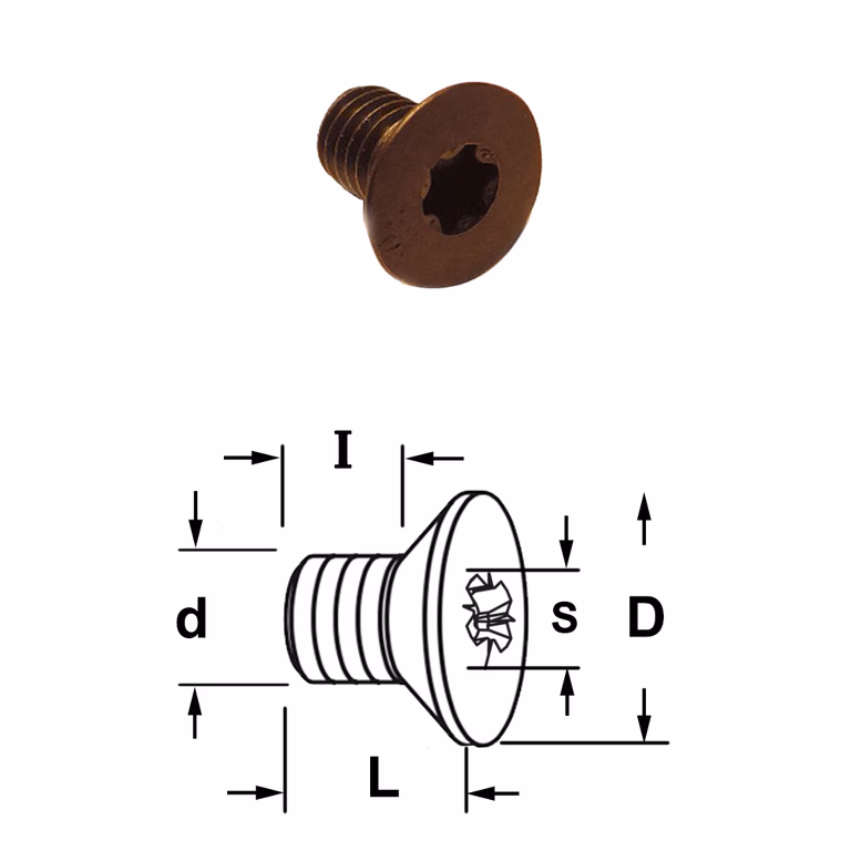Boulon torx coniche
