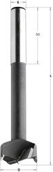 Foret à tête cylindrique avec longue tige cylindrique D=15, droite