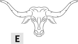 Kastdeur Stier - E