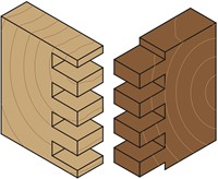 Rechte tandverbindingsmal SET-2