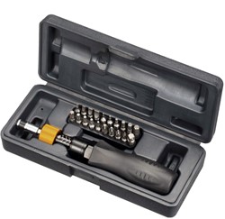 Set met 20 stuks torx bitsen